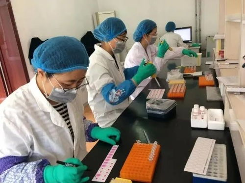 威海文登區(qū)畜牧獸醫(yī)技術服務中心 靠前服務保穩(wěn)產(chǎn) 技術服務促發(fā)展